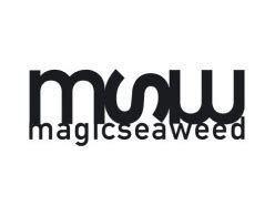magicseaweed masnou  Magicseaweed